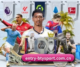 entry-btysport.com.cn APP